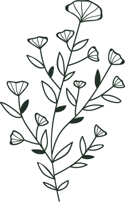 Botanical Decoration